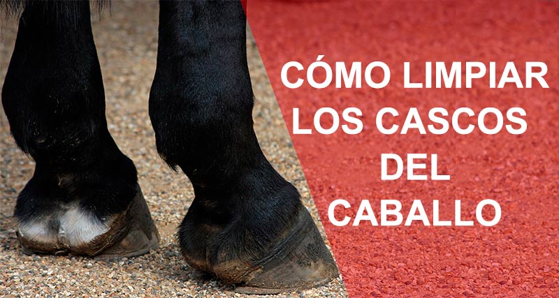 como limpiar los cascos de los caballos